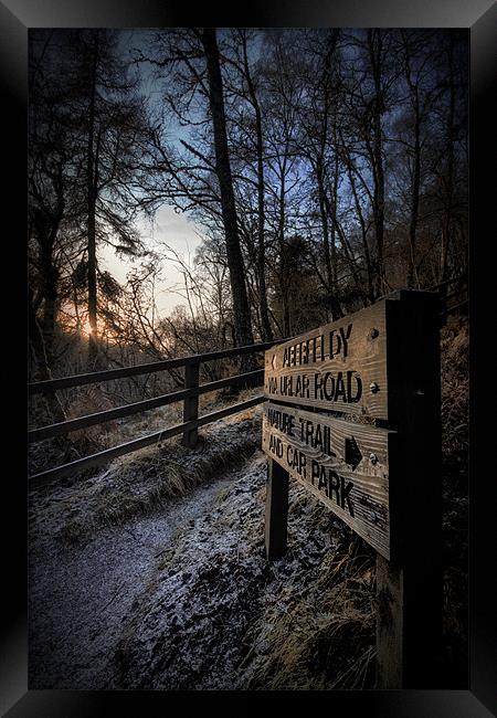 Signs of Winter Framed Print by Fraser Hetherington