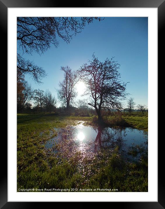 Wet Lands Framed Mounted Print by Grove Road Photography