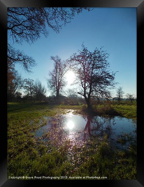 Wet Lands Framed Print by Grove Road Photography
