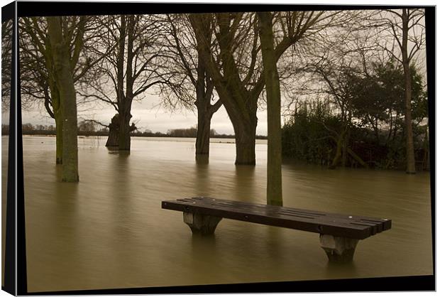 Flooding Normality  Canvas Print by Oliver Porter