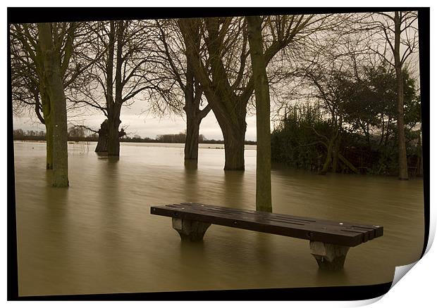 Flooding Normality  Print by Oliver Porter