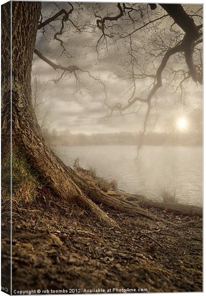 MOTE PARK SUNSET Canvas Print by Rob Toombs