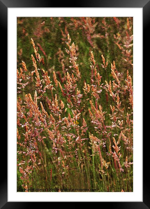 Textured Grasses Framed Mounted Print by Julie Coe