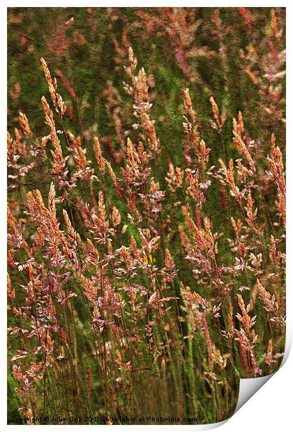 Textured Grasses Print by Julie Coe