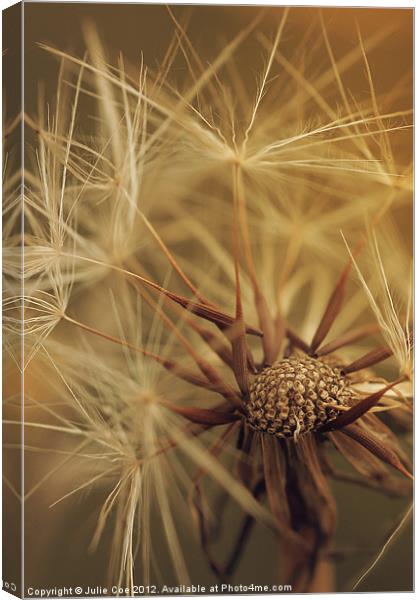 Centre of Soft Canvas Print by Julie Coe