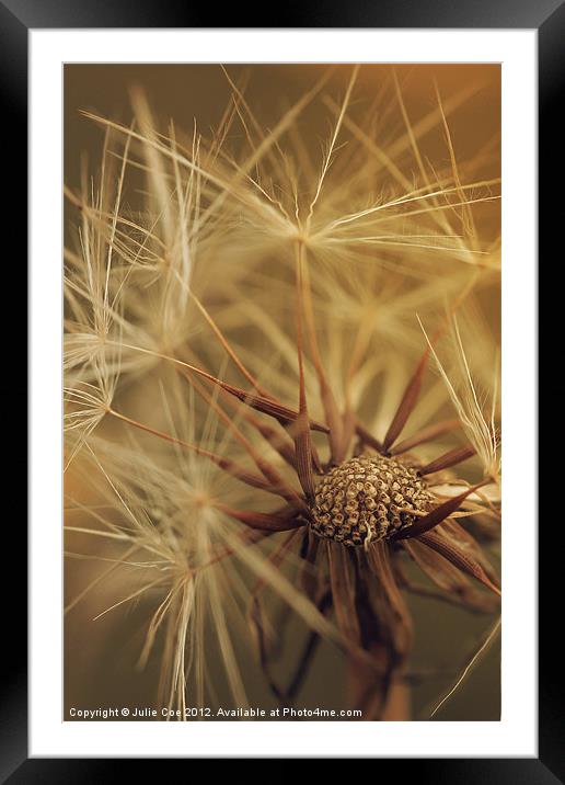 Centre of Soft Framed Mounted Print by Julie Coe