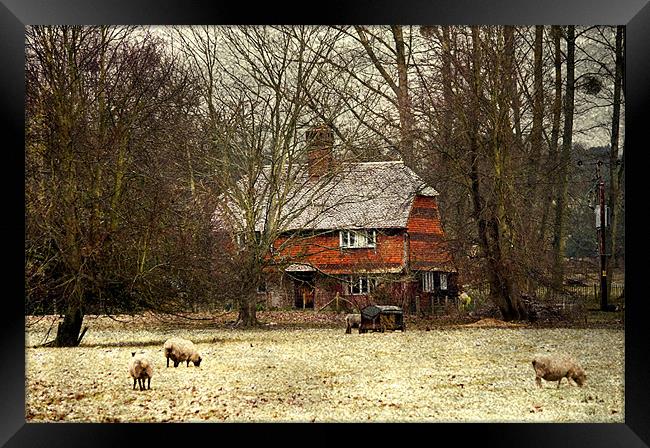 Home Sweet Home Framed Print by Dawn Cox