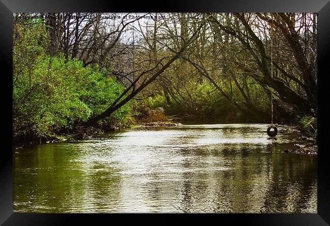 Swimming Hole 2 Framed Print by Michael Waters Photography