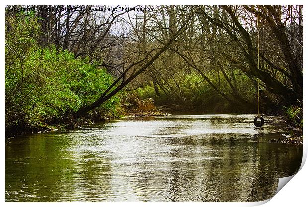 Swimming Hole 2 Print by Michael Waters Photography