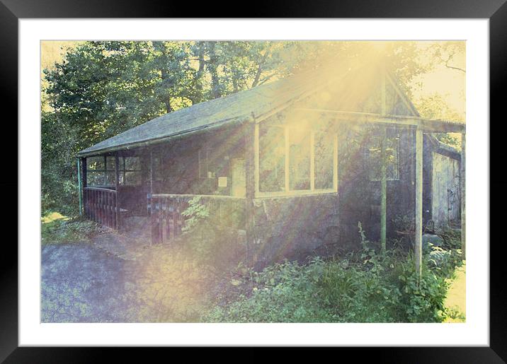 The Cabin in the Woods Framed Mounted Print by Dawn Cox