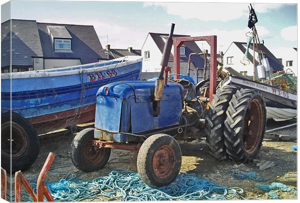 Coast - Blue tractor  Canvas Print by David Turnbull