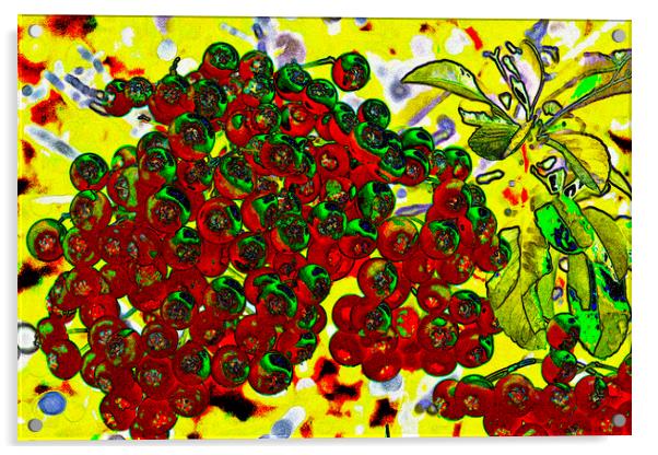 Berries Art Acrylic by David Pyatt