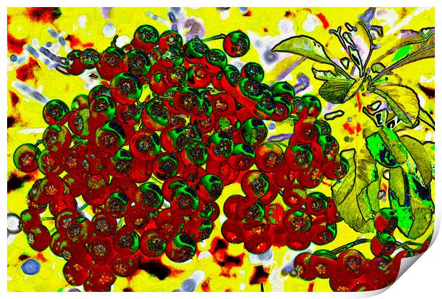 Berries Art Print by David Pyatt