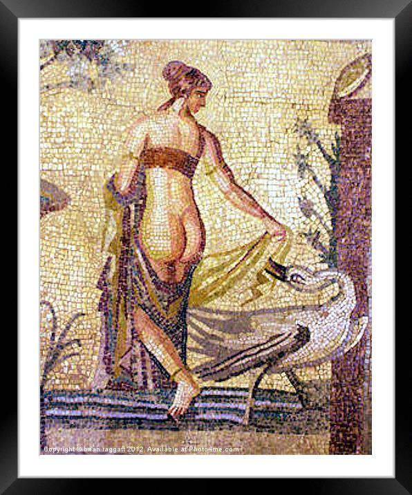 Roman Mosaic Paphos Cyprus Framed Mounted Print by Brian  Raggatt
