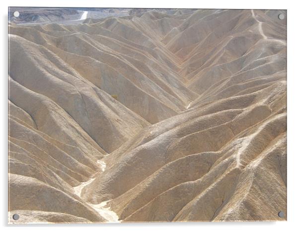 Death Valley National Park, California, USA  Acrylic by Tim Duck