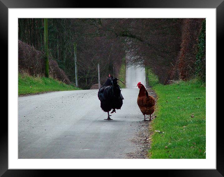 Are we being followed?  Framed Mounted Print by Ranald Dods
