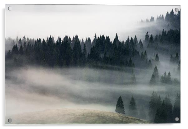 Morning fog flow Acrylic by Sergiu Gabriel Mihu