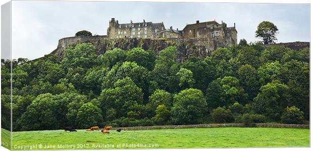 Stirling Castle, Scotland Canvas Print by Jane McIlroy