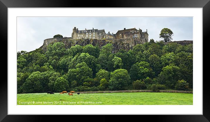 Stirling Castle, Scotland Framed Mounted Print by Jane McIlroy