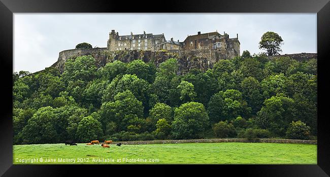 Stirling Castle, Scotland Framed Print by Jane McIlroy