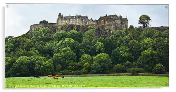 Stirling Castle, Scotland Acrylic by Jane McIlroy