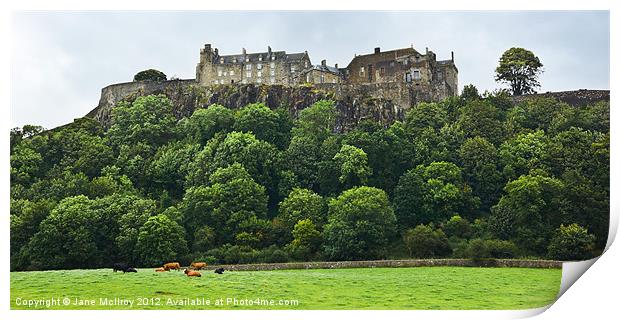 Stirling Castle, Scotland Print by Jane McIlroy
