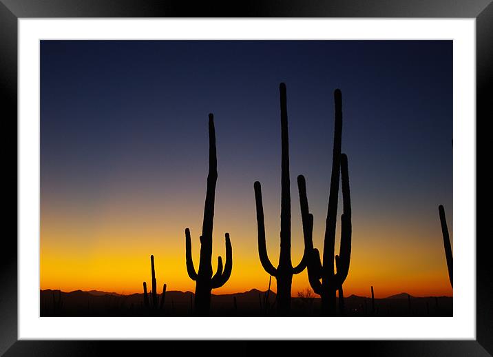 Arizona Sunset Framed Mounted Print by Claudio Del Luongo