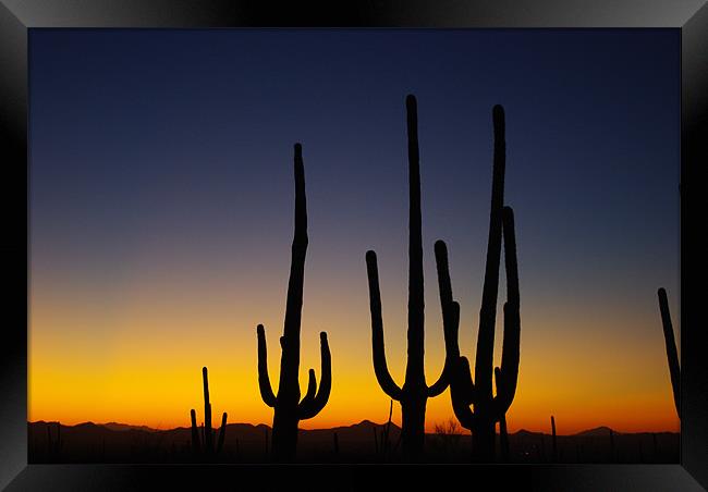 Arizona Sunset Framed Print by Claudio Del Luongo