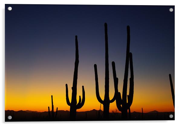 Arizona Sunset Acrylic by Claudio Del Luongo