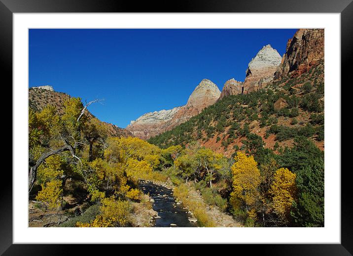 Autumn in Zion Framed Mounted Print by Claudio Del Luongo