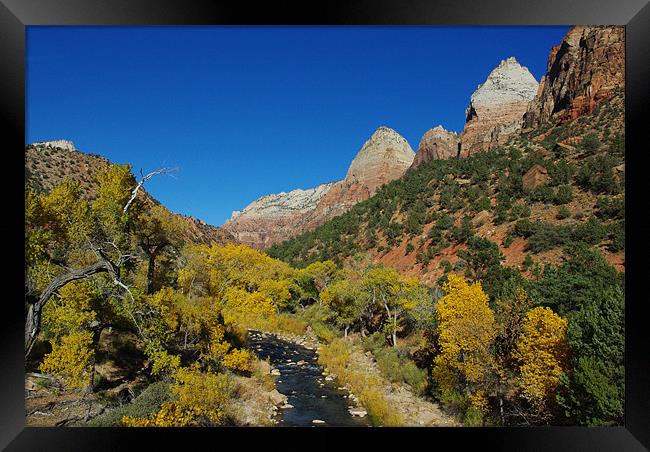 Autumn in Zion Framed Print by Claudio Del Luongo