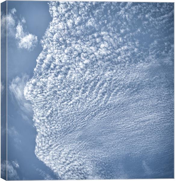 Mr Cloud Canvas Print by Mary Lane