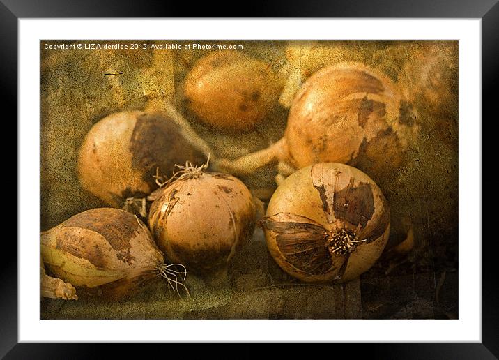 Onions Framed Mounted Print by LIZ Alderdice