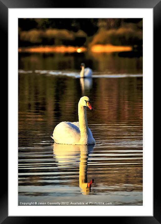 Rydal Swans Framed Mounted Print by Jason Connolly