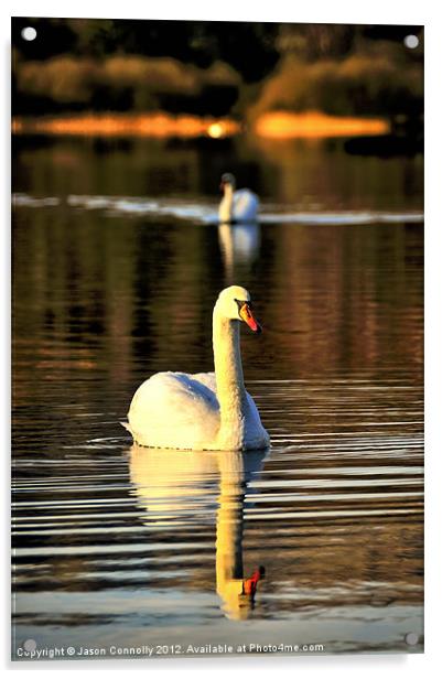Rydal Swans Acrylic by Jason Connolly