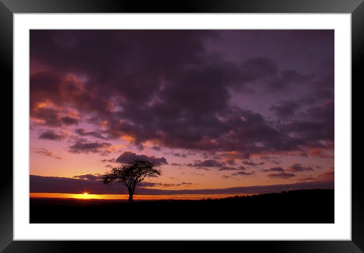 Lonely Tree At Sunset Framed Mounted Print by John Dickson