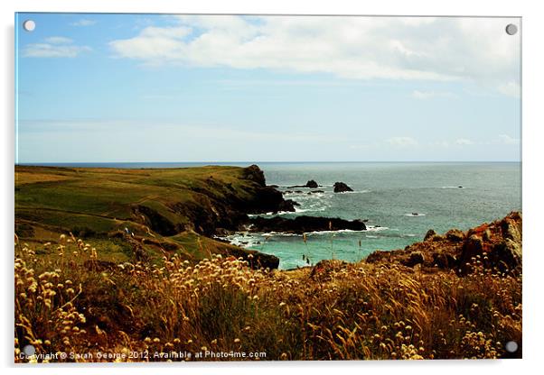Cornish Cliffs Acrylic by Sarah George