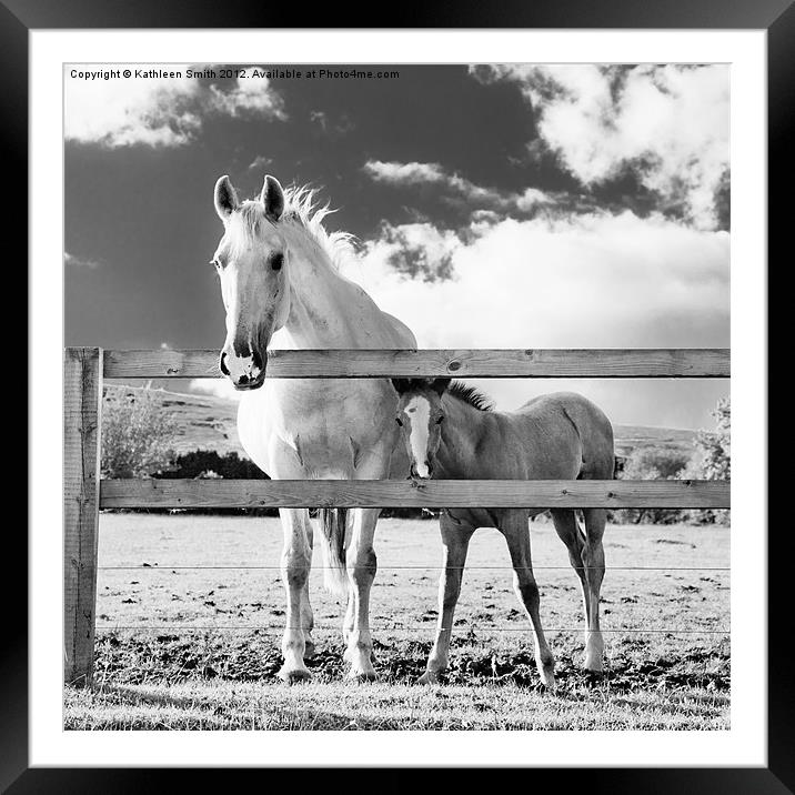 Mare and foal behind fence Framed Mounted Print by Kathleen Smith (kbhsphoto)