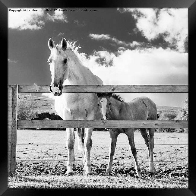 Mare and foal behind fence Framed Print by Kathleen Smith (kbhsphoto)