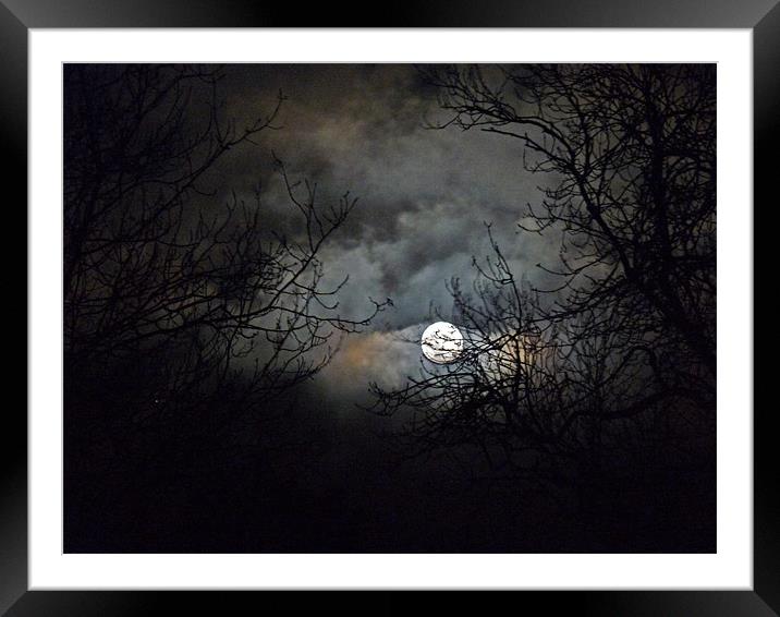 Winter Moon Framed Mounted Print by Noreen Linale