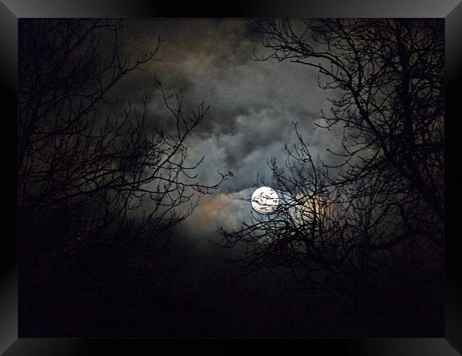 Winter Moon Framed Print by Noreen Linale