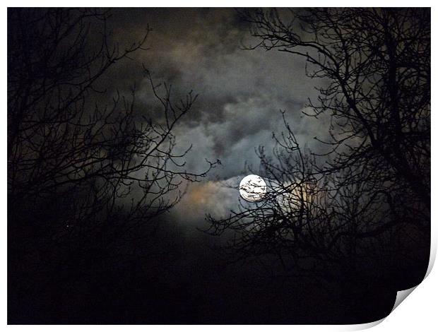 Winter Moon Print by Noreen Linale