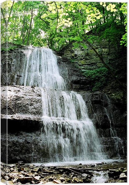 Sherman Falls  Canvas Print by Donna-Marie Parsons