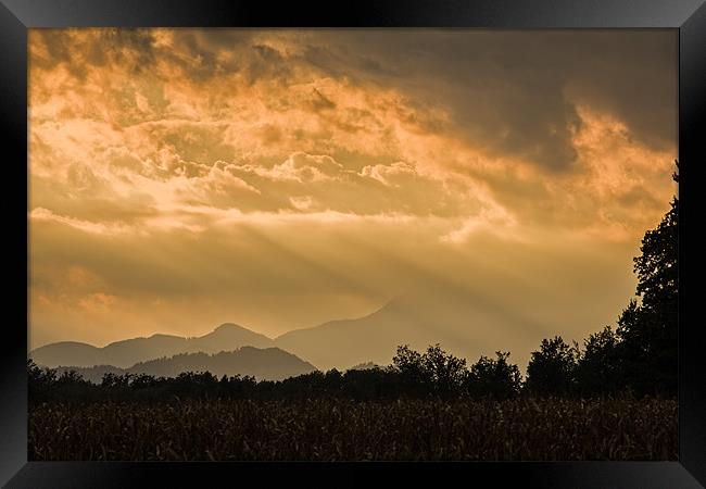 Ray of light Framed Print by Ian Middleton