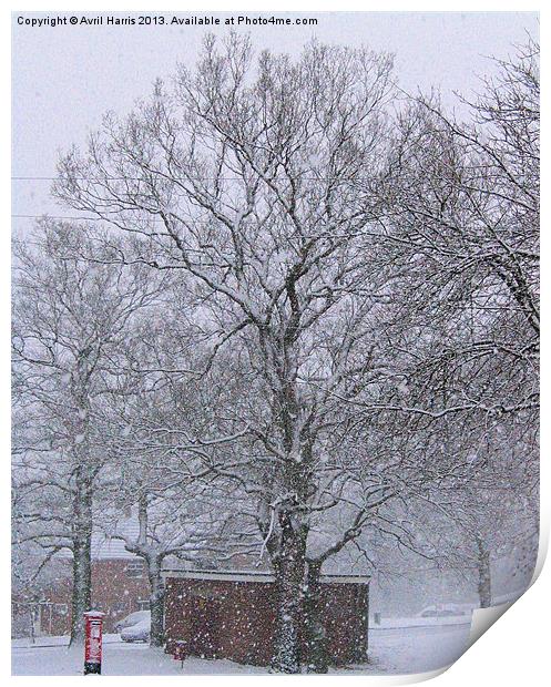 Post Box in the Snow Print by Avril Harris