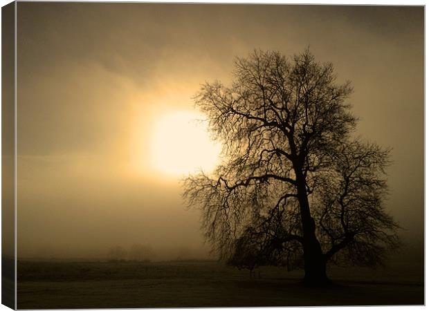 Morning Mist Canvas Print by Kevin Warner