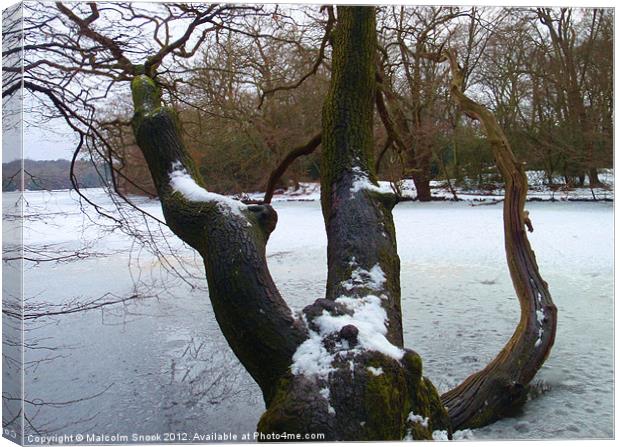 Fallen tree in frozen lake Canvas Print by Malcolm Snook