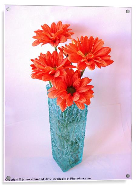 Orange Chrysants Acrylic by james richmond