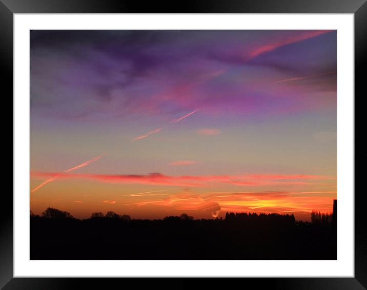 purple sky Framed Mounted Print by carin severn
