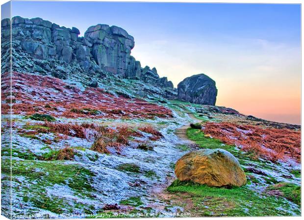 Cow And Calf Rocks Ilkley Canvas Print by Colin Williams Photography